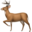 DeerFlow